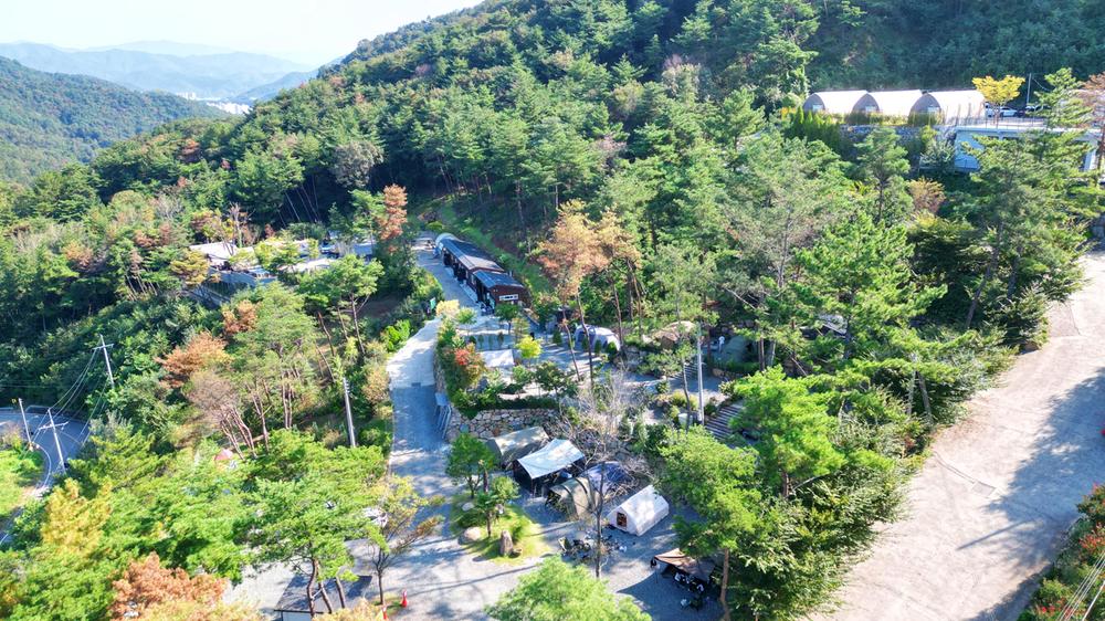 (주)러블레싱(LOVEBLEESING INC)