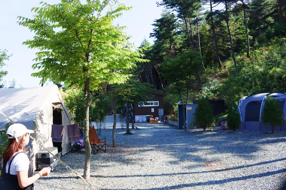 (주)러블레싱(LOVEBLEESING INC)
