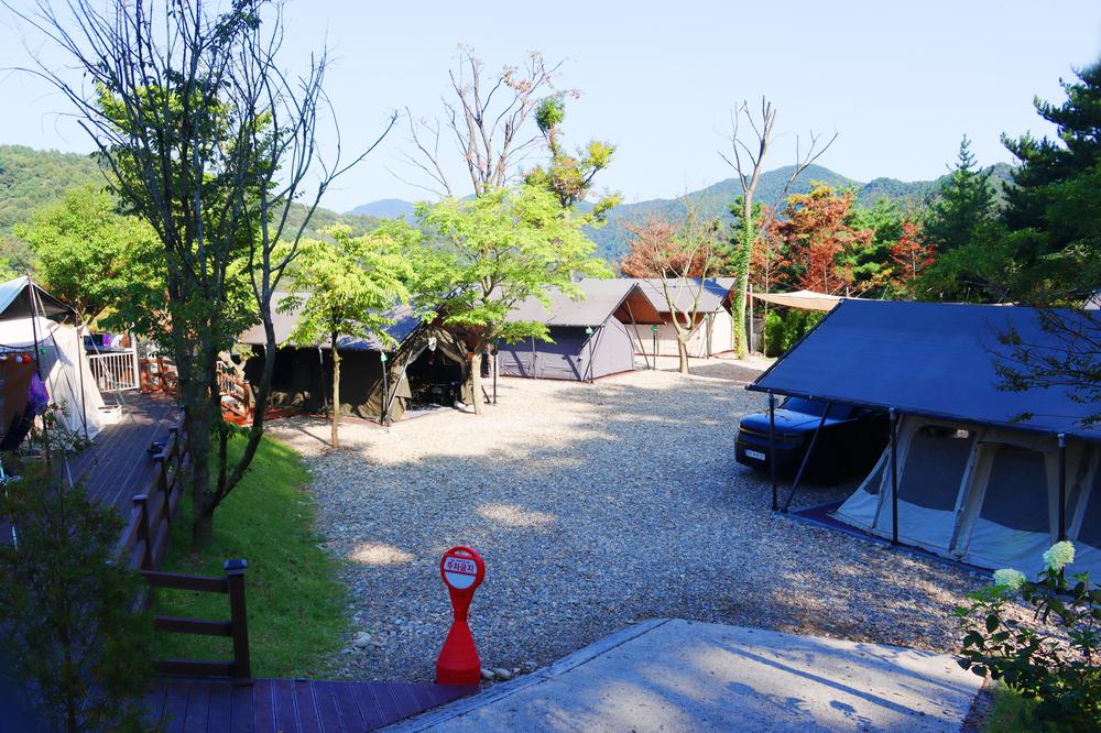 (주)러블레싱(LOVEBLEESING INC)