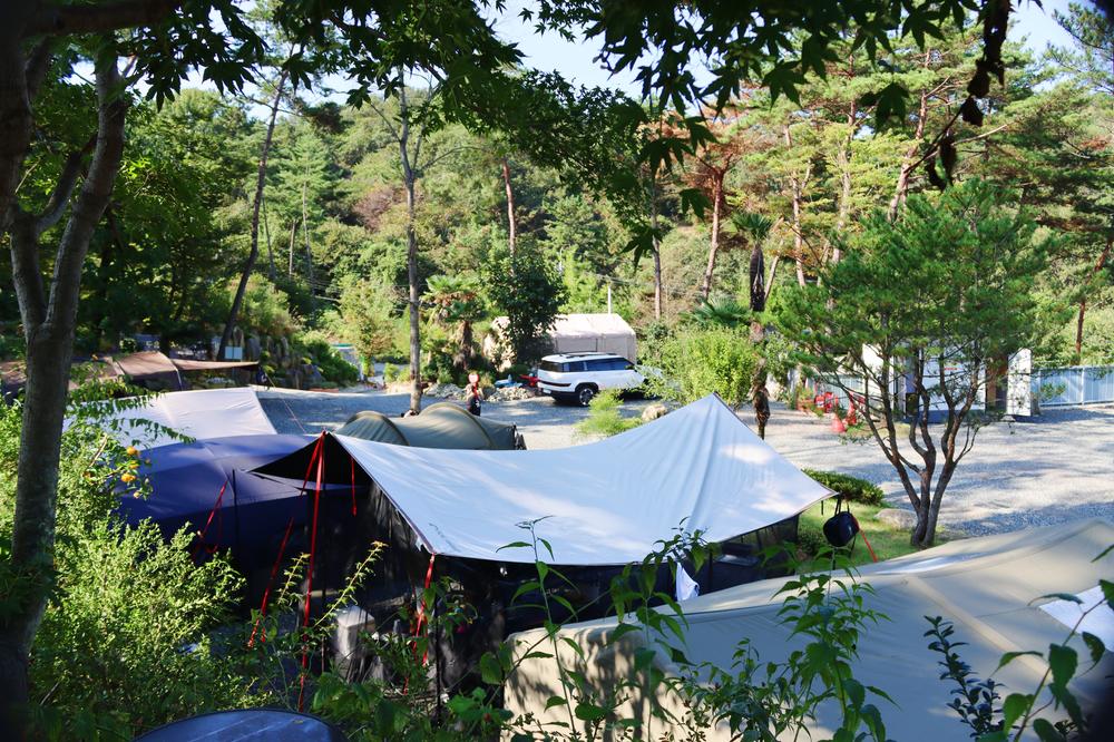 (주)러블레싱(LOVEBLEESING INC)