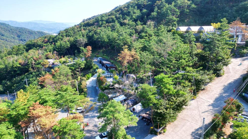 (주)러블레싱(LOVEBLEESING INC)