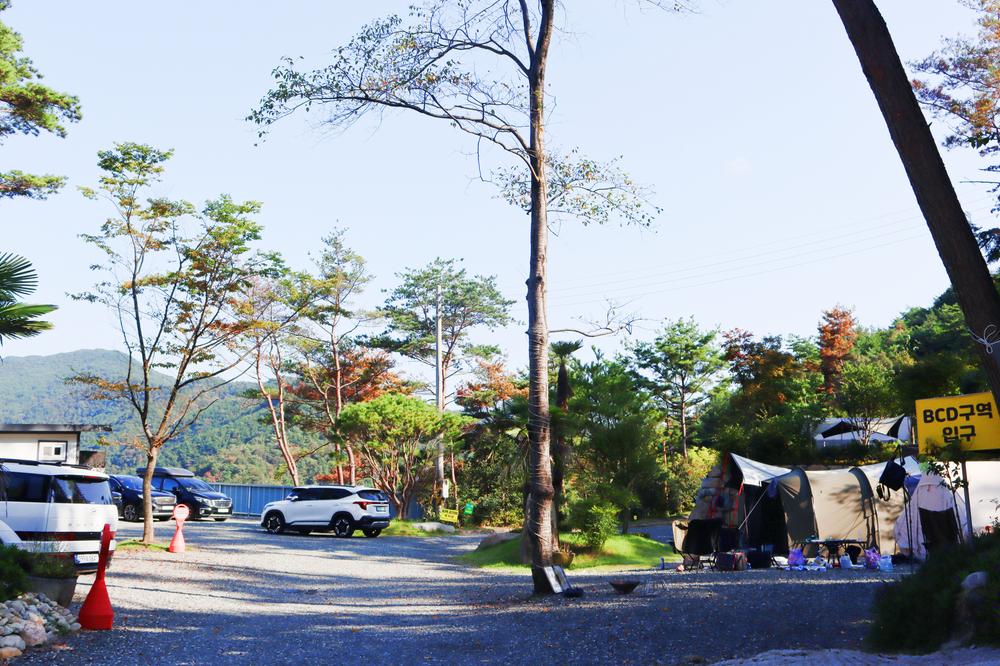 (주)러블레싱(LOVEBLEESING INC)