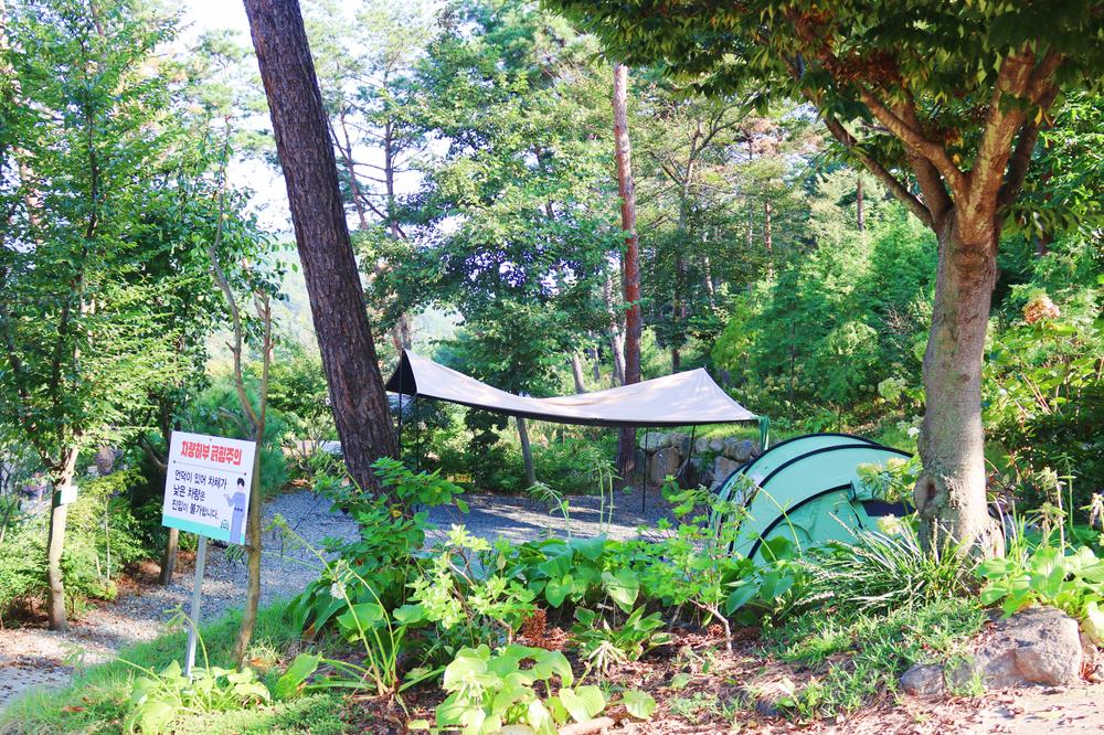 (주)러블레싱(LOVEBLEESING INC)