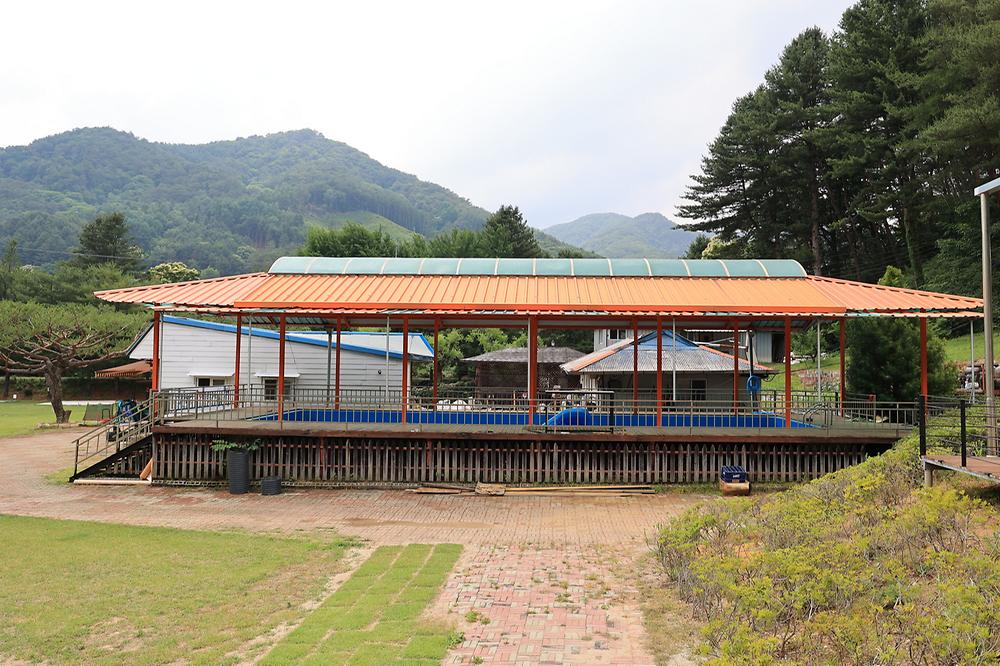 야단법석