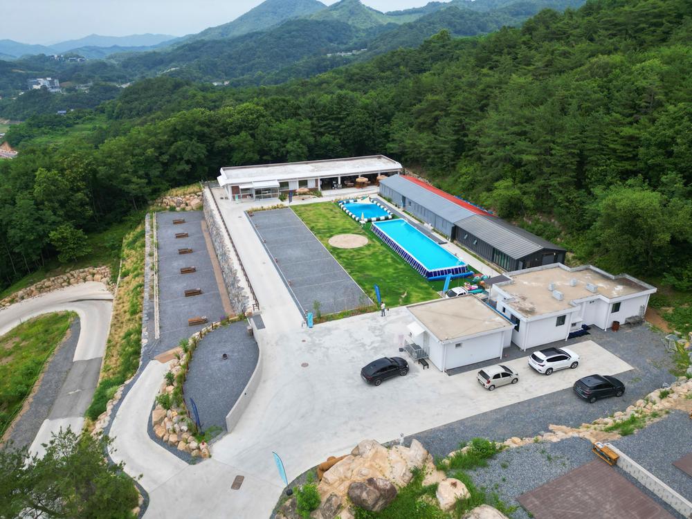 스테이아웃