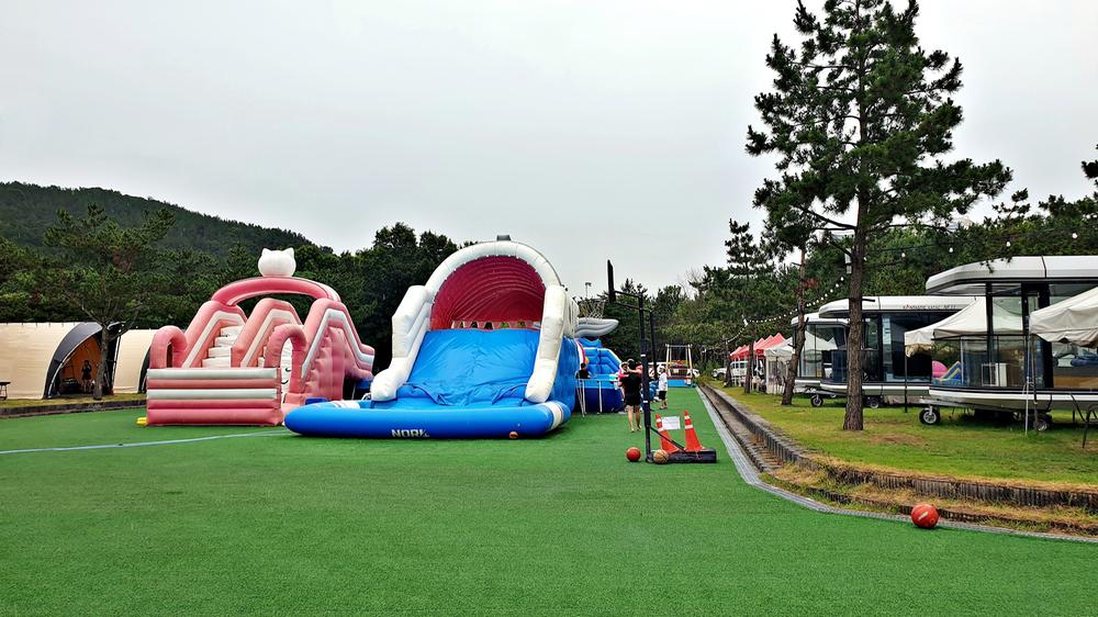 판타스틱 캠프닉