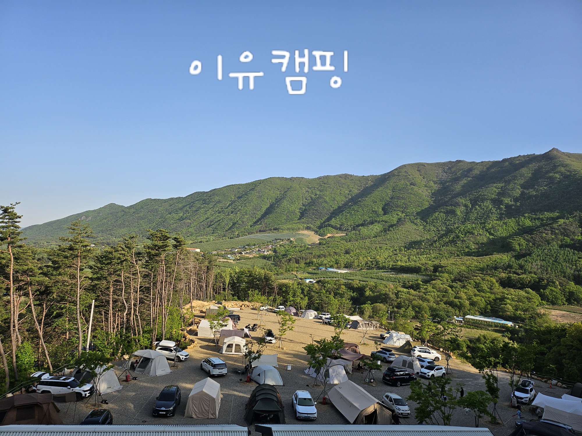 이유캠핑
