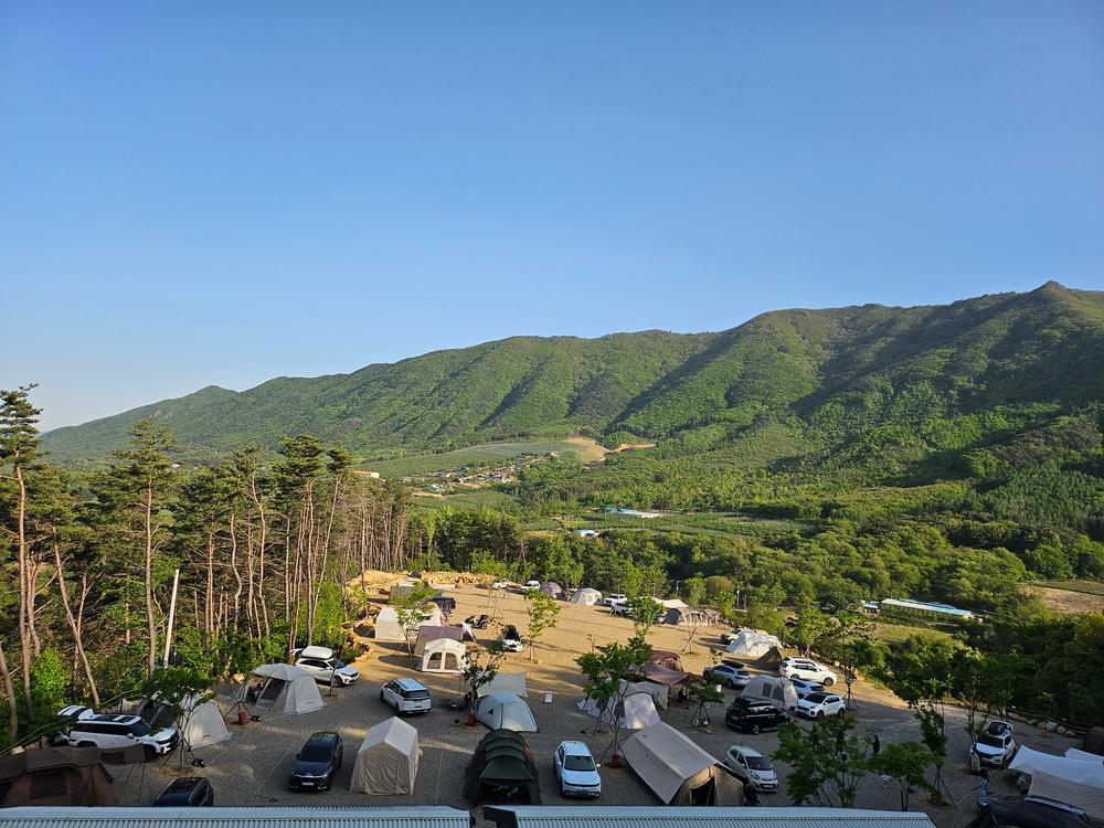 이유캠핑