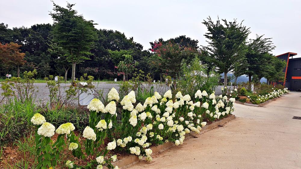 노을빛바다 캠핑장B