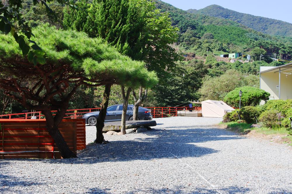 숲내음에 머물다