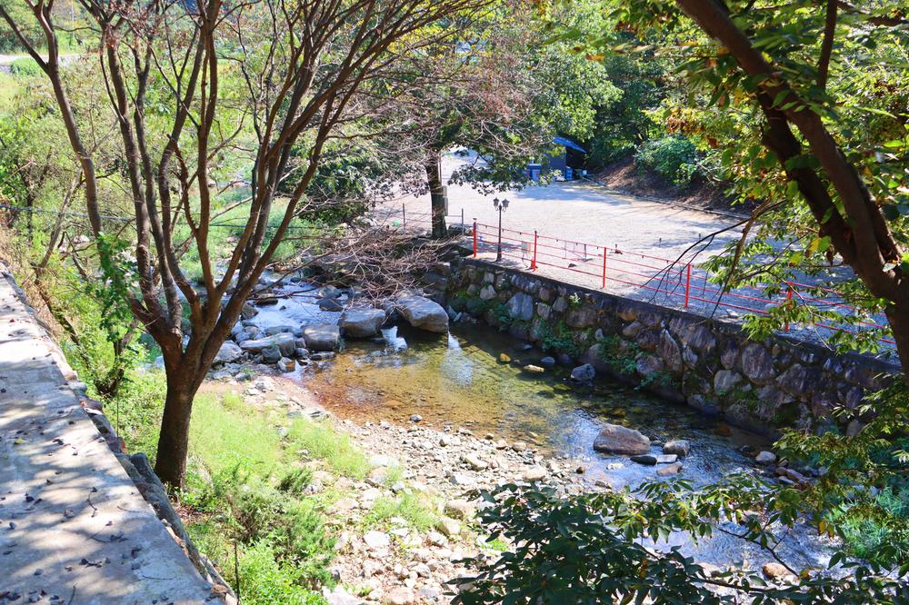 숲내음에 머물다