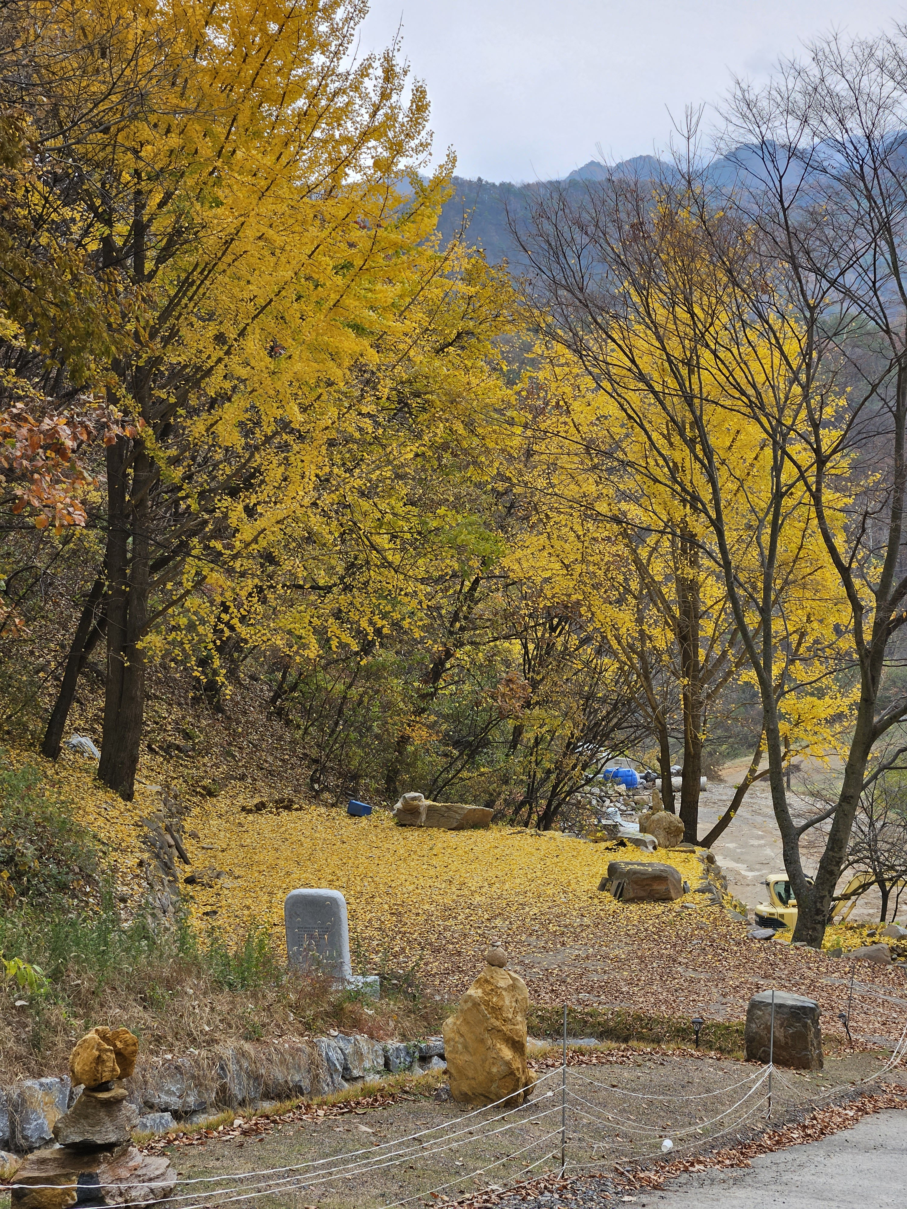 도담캠핑