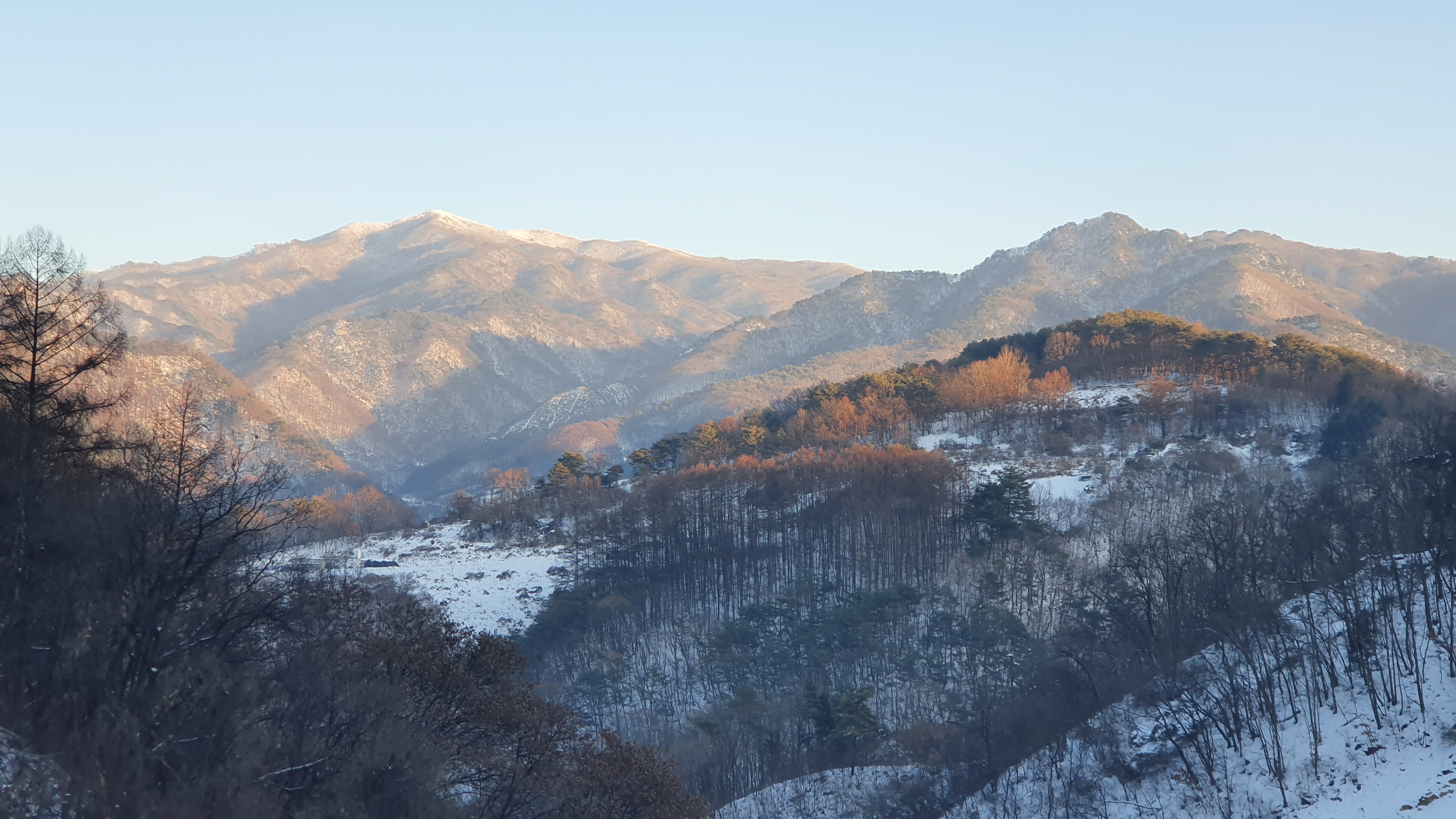 도담캠핑