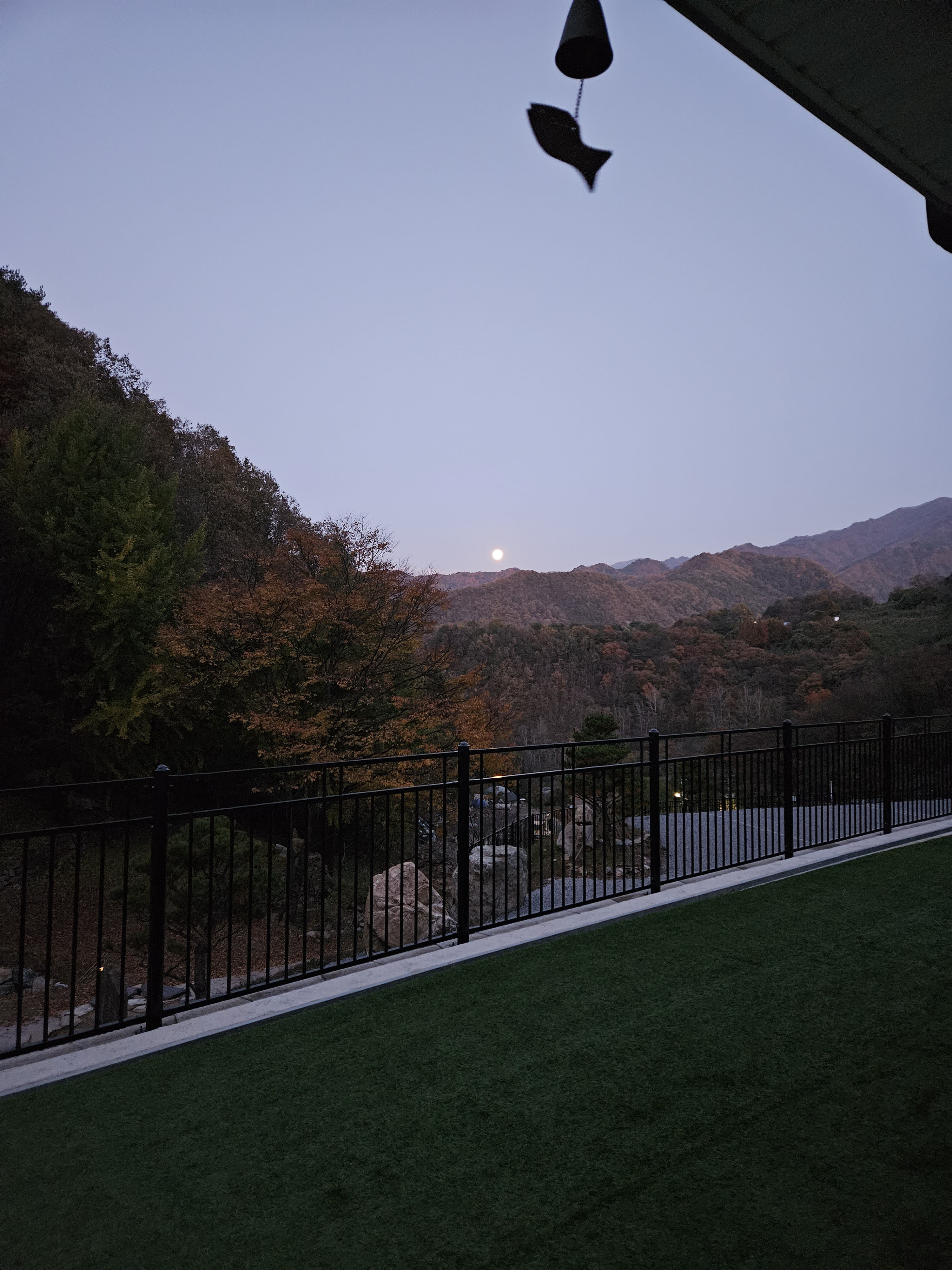 도담캠핑