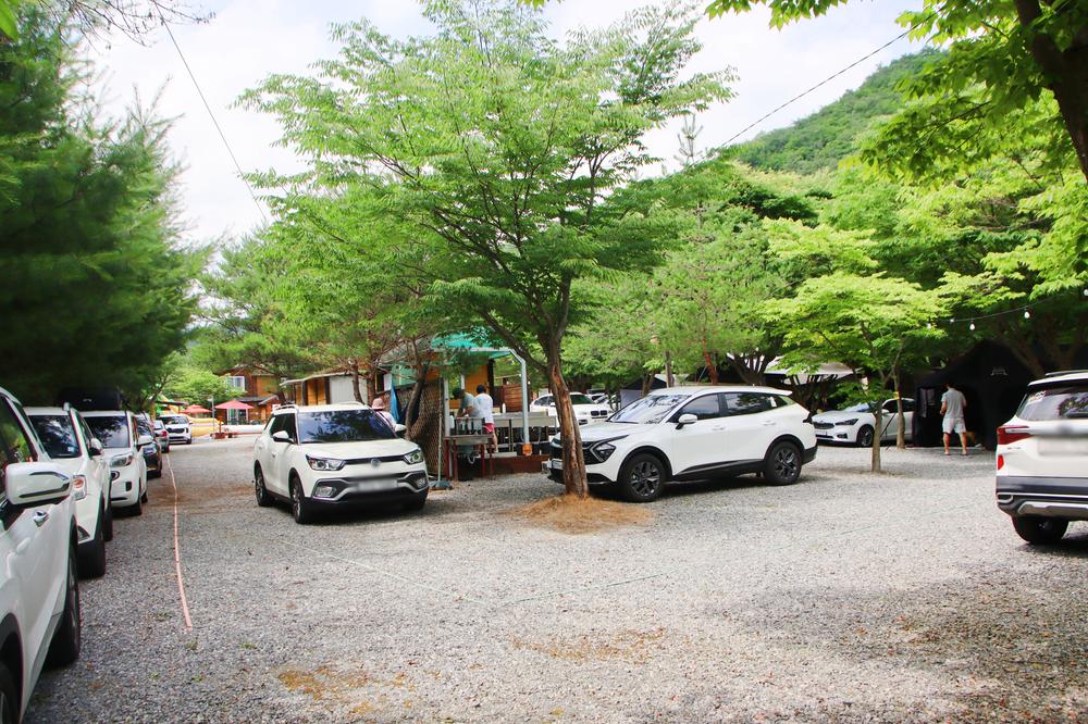지구별캠프