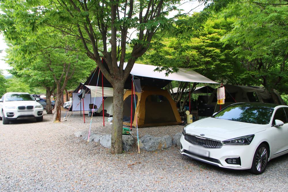 지구별캠프