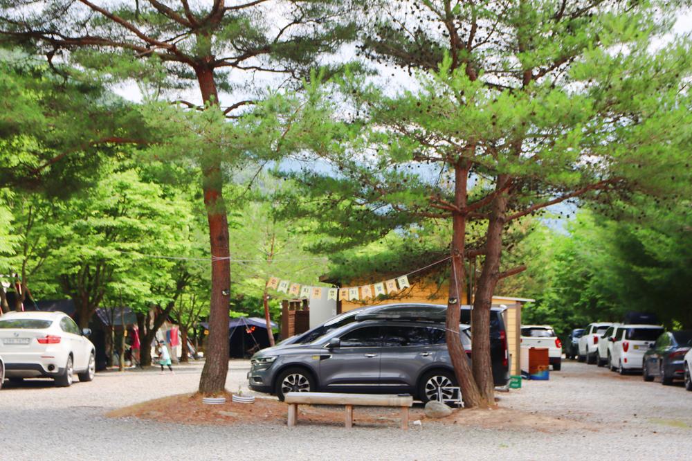 지구별캠프