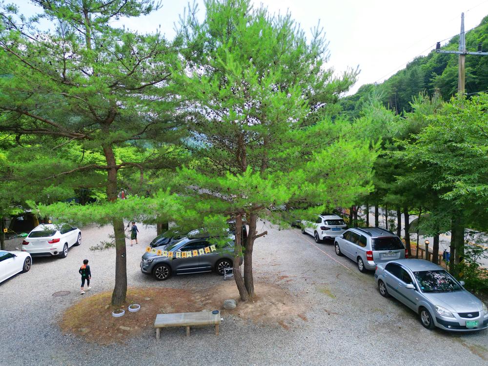 지구별캠프