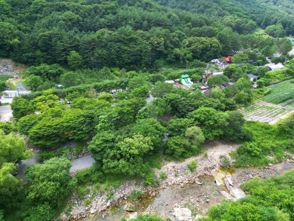 지구별캠프