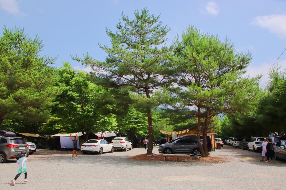 지구별캠프