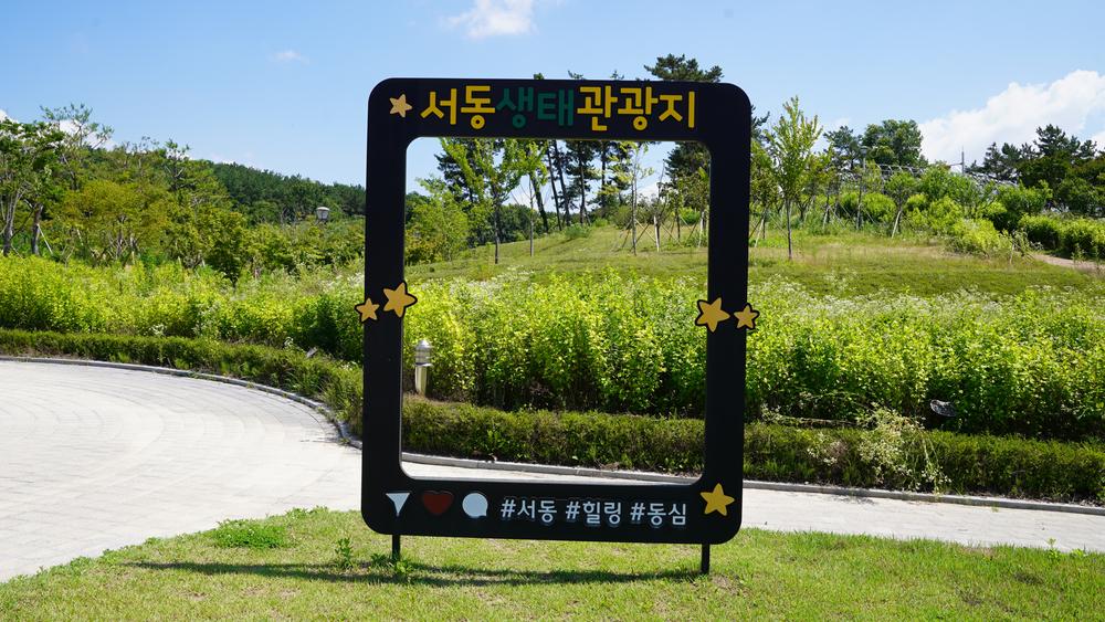 에코캠핑장