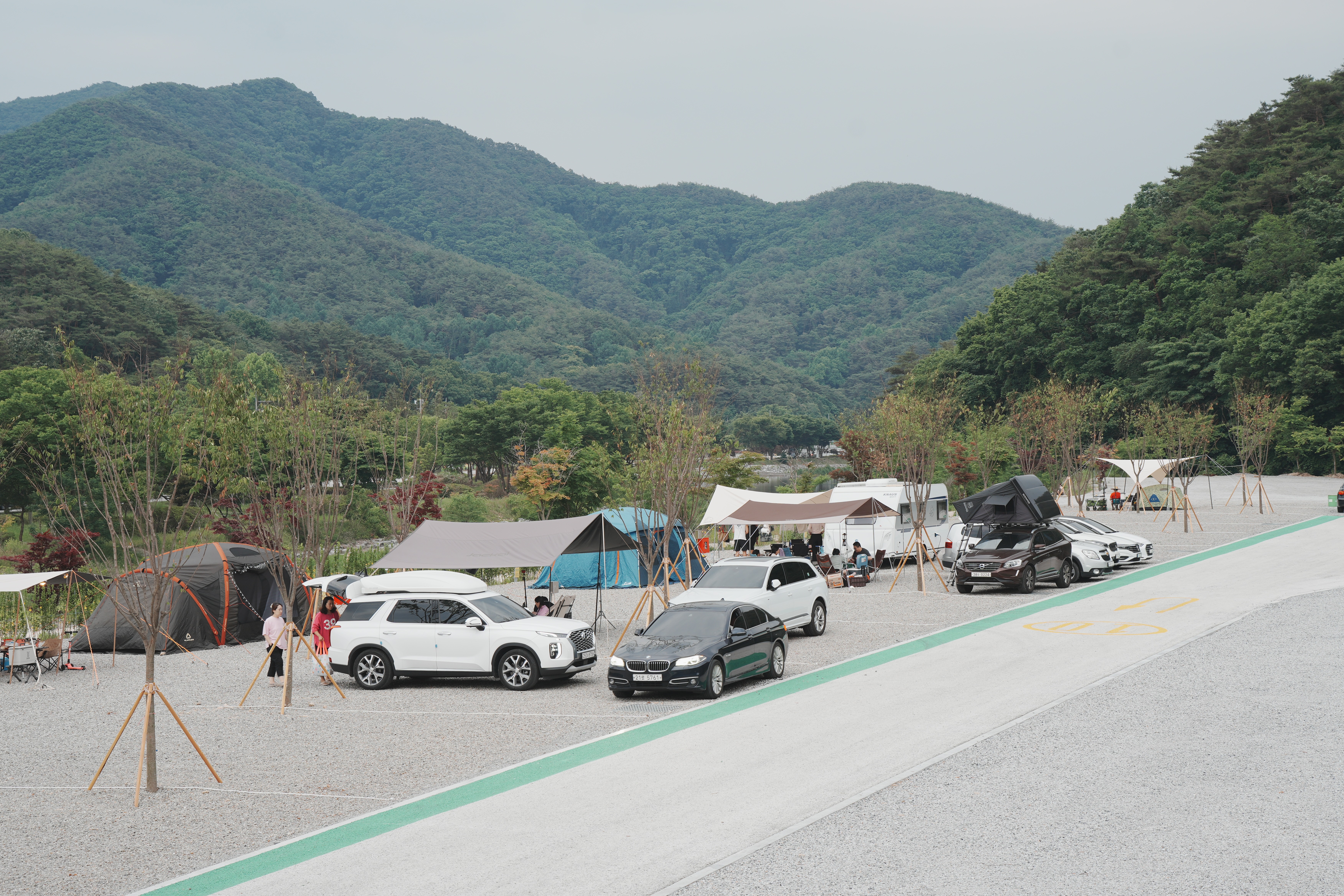 고릴라캠핑 in 속리산
