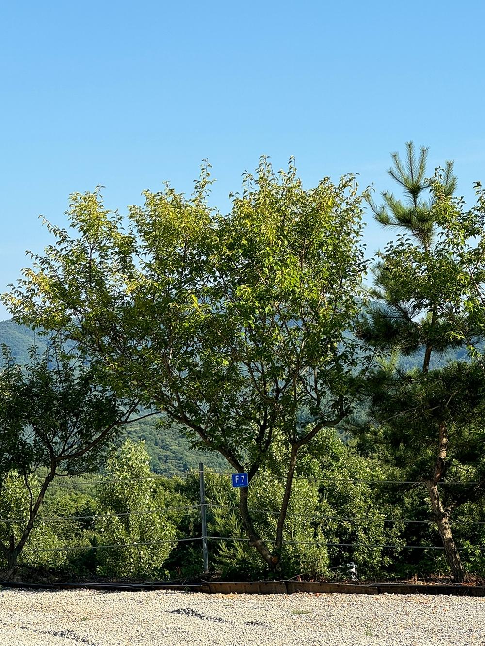 엘모로캠핑