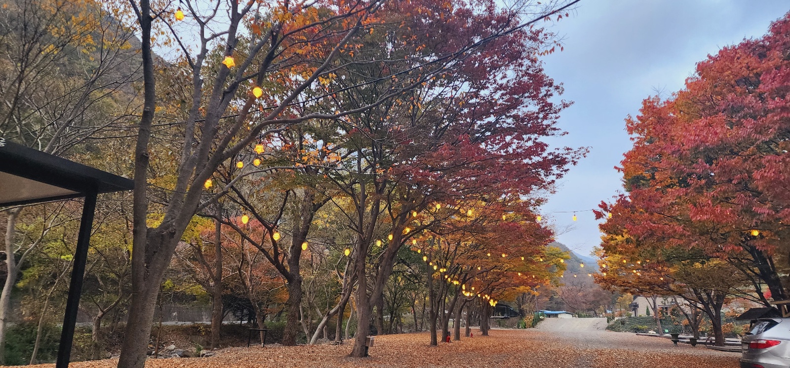 이안힐링랜드
