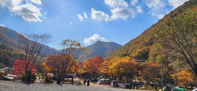 캠핑장소개 이미지