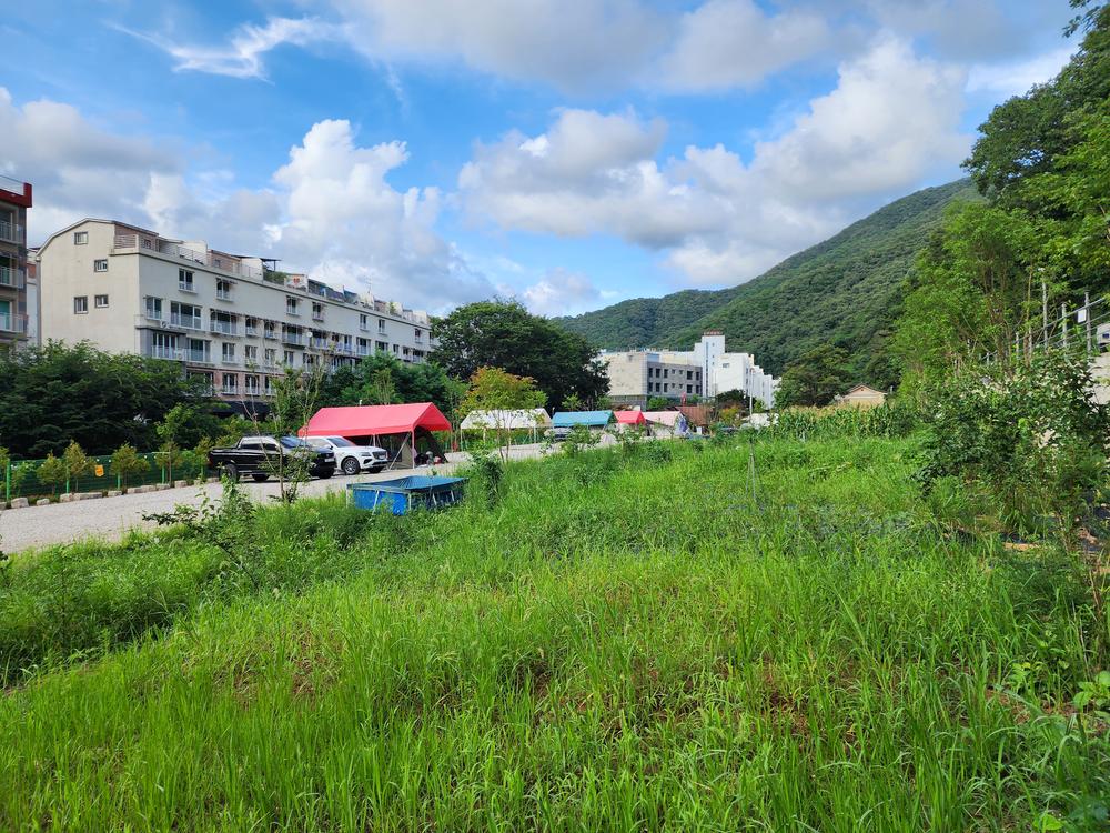 양주 장흥 브이아이피 캠핑장