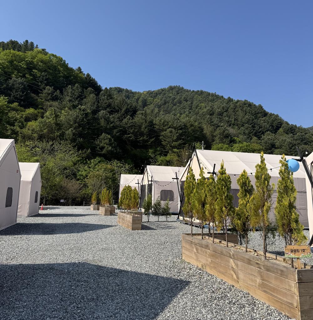 포레스트리 캠핑장