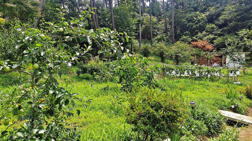 피구지 관광농원