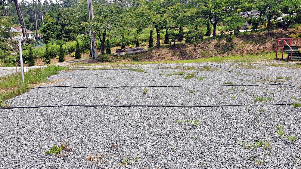 피구지 관광농원