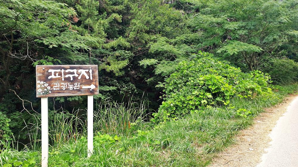피구지 관광농원