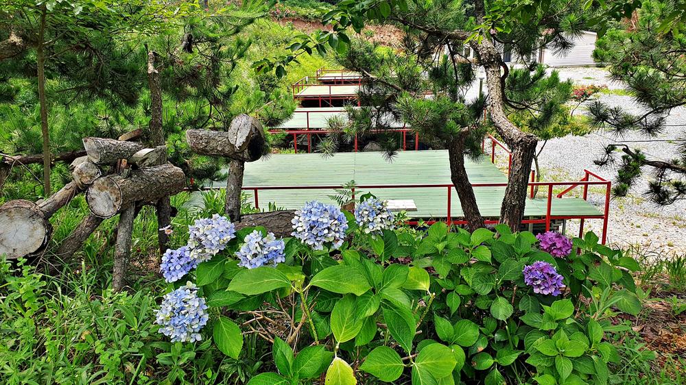 피구지 관광농원