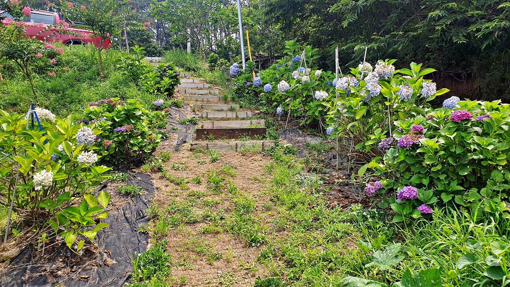 피구지 관광농원