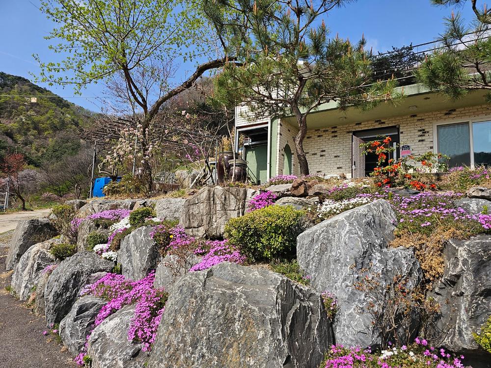 단양 별마루캠핑장