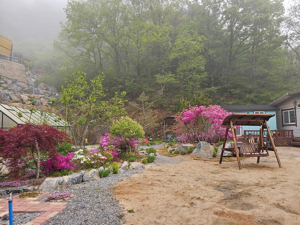 단양 별마루캠핑장