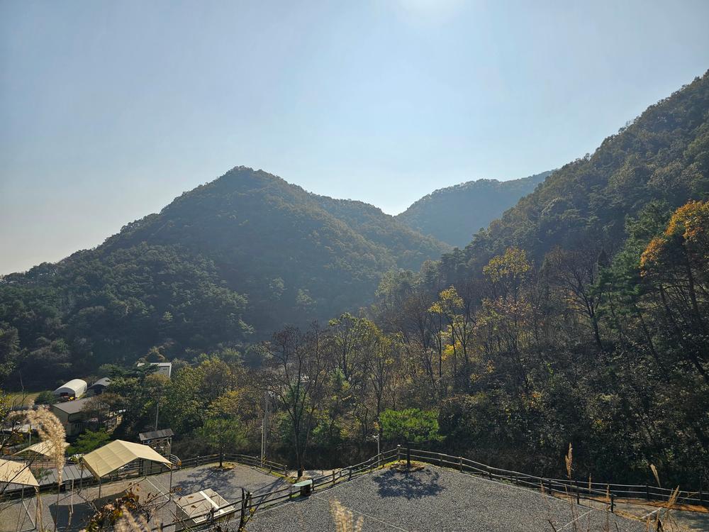 단양 별마루캠핑장