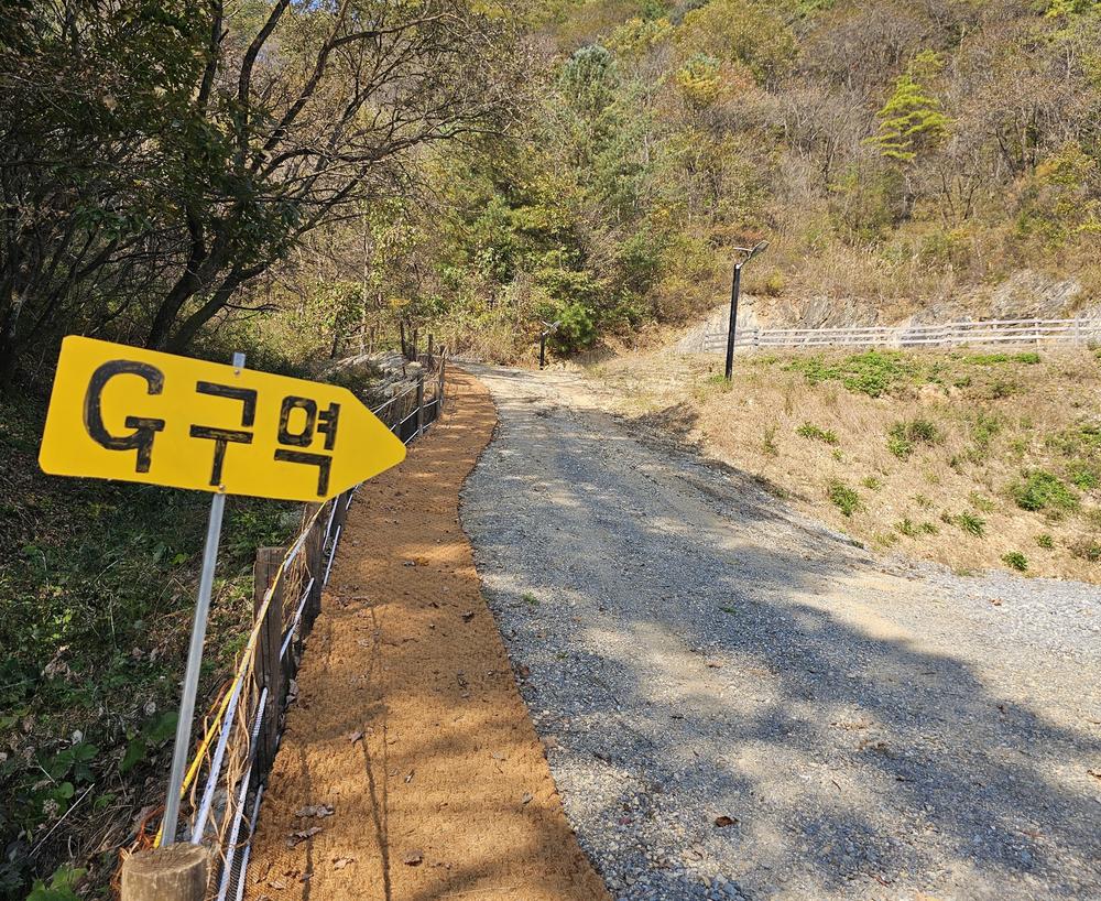 단양 별마루캠핑장