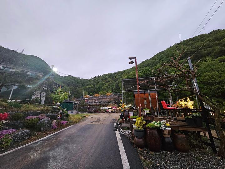 단양 별마루캠핑장