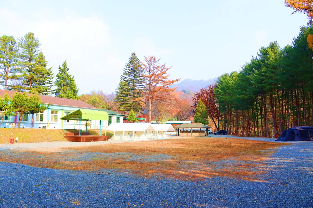 어게인 스쿨