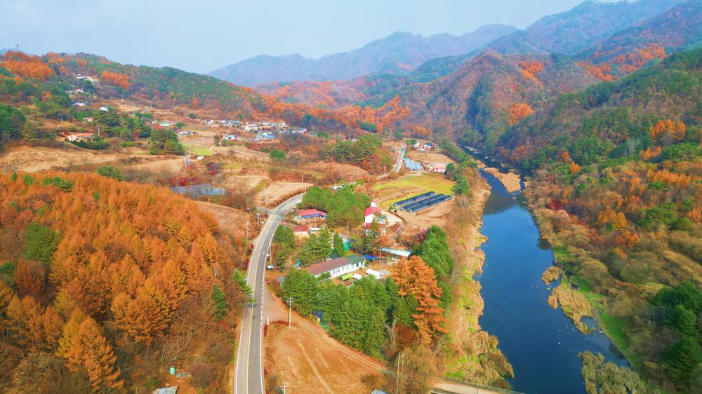 어게인 스쿨