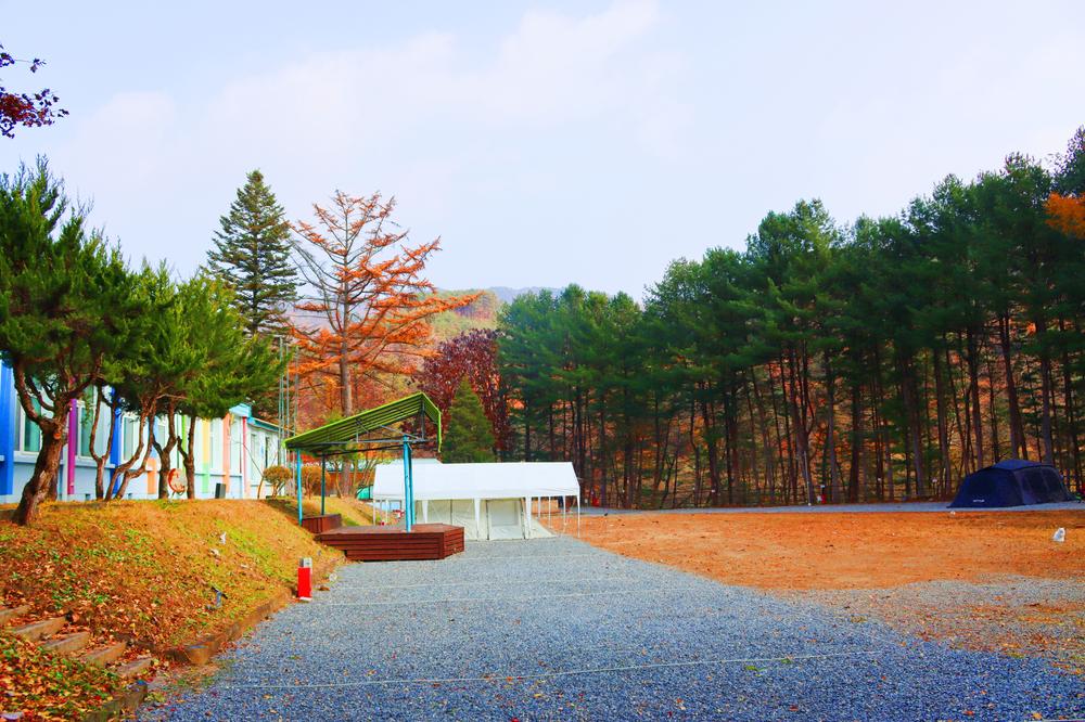 어게인 스쿨