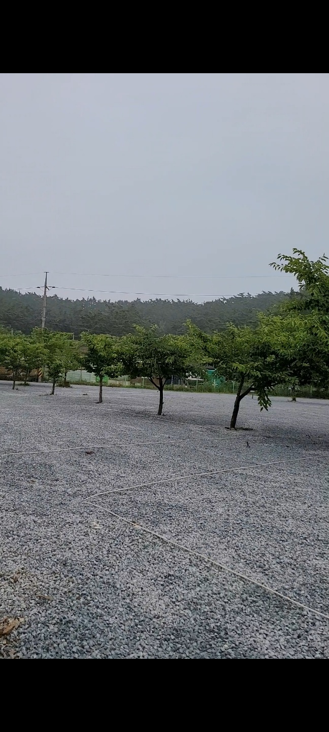 구름포해변캠핑장