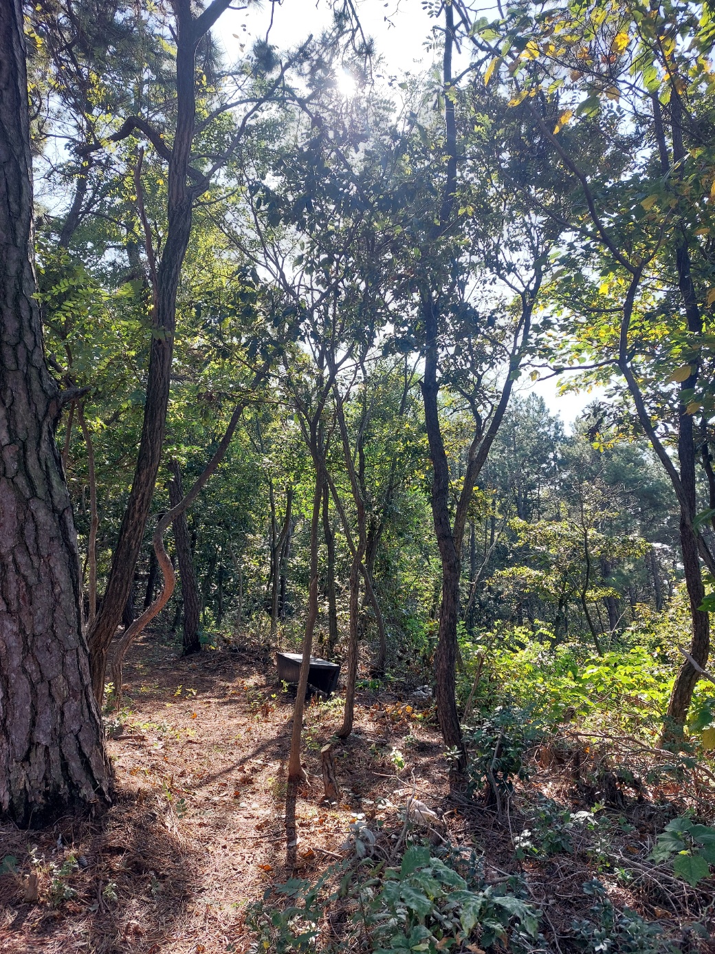 곡식정원(관광농원)