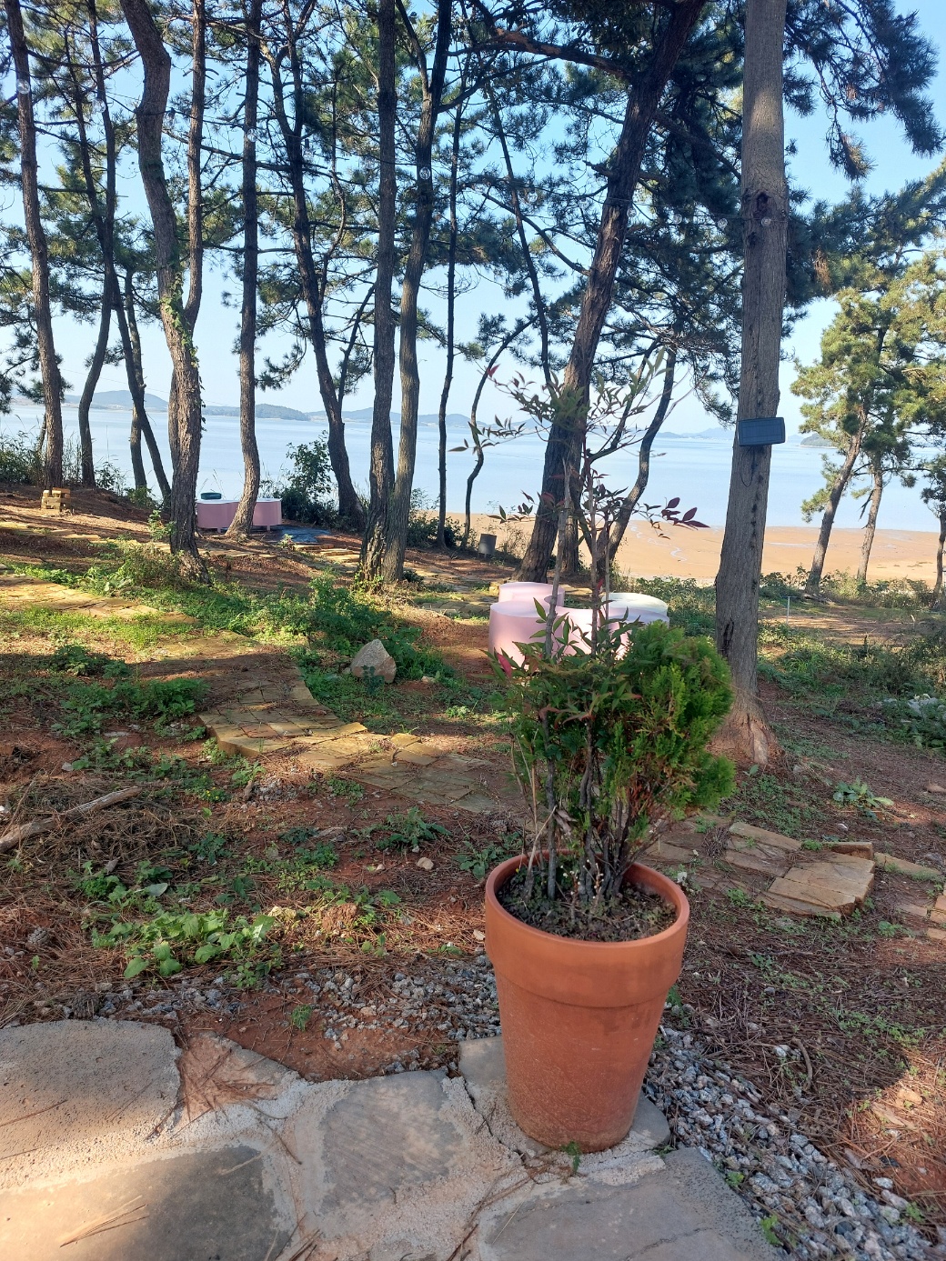 곡식정원(관광농원)