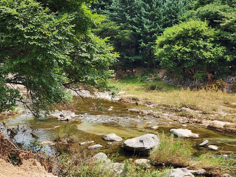 더아리웃집 모롱공간