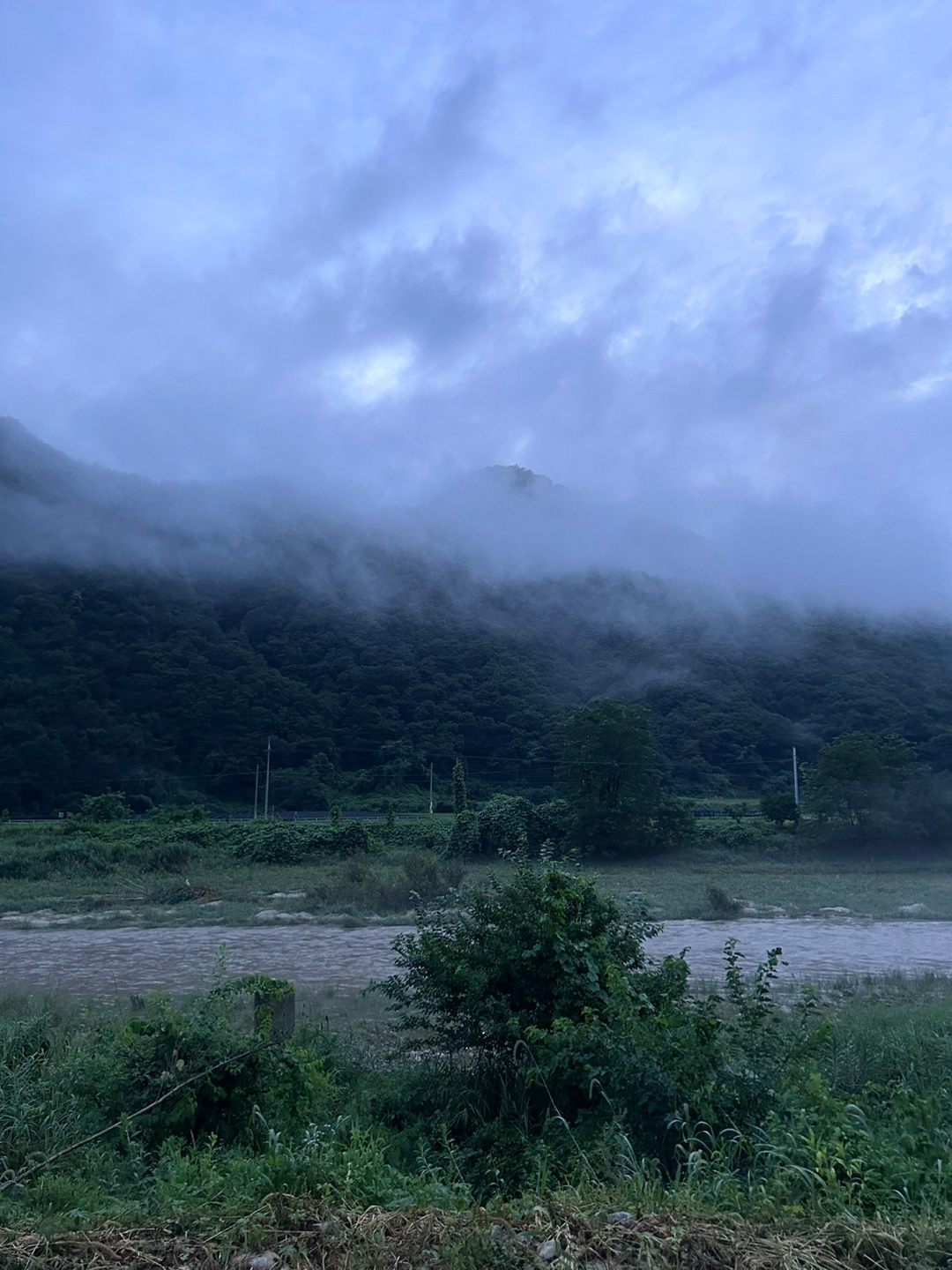 봄이네 캠핑장