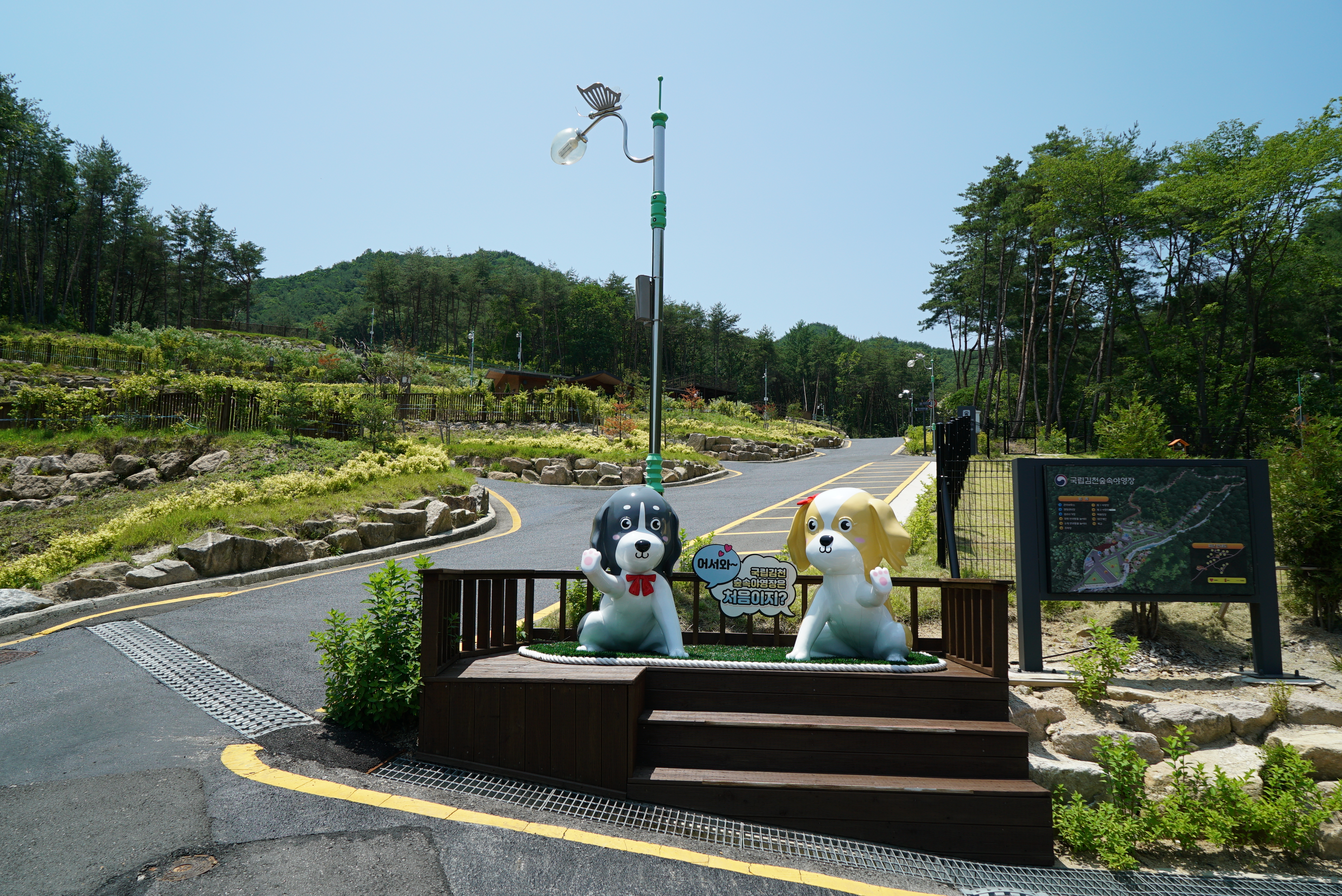 국립김천숲속야영장